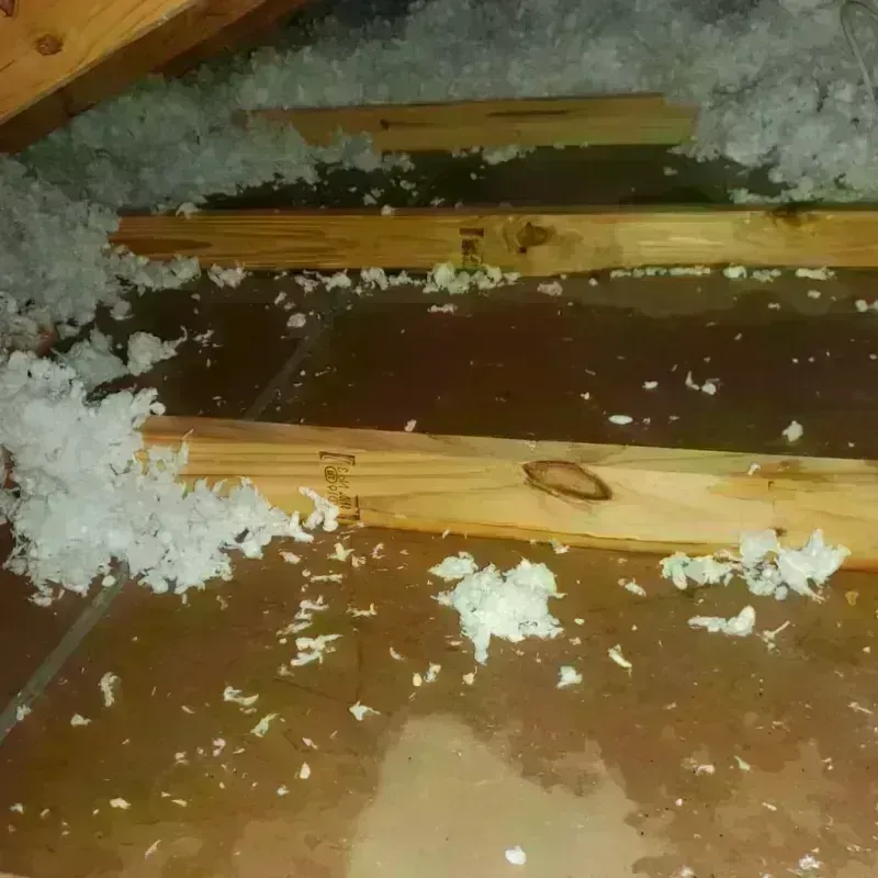 Attic Water Damage in Lucas County, IA