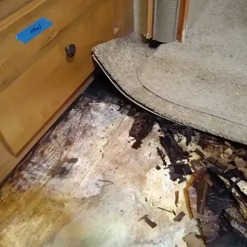 Best Wood Floor Water Damage Service in Lucas County, IA